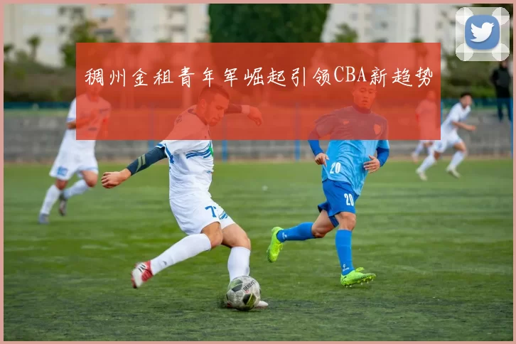 稠州金租青年军崛起引领CBA新趋势