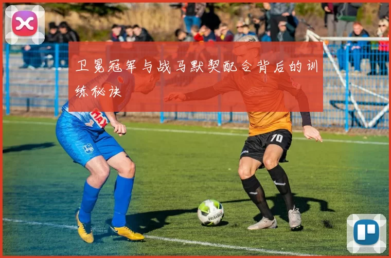 卫冕冠军与战马默契配合背后的训练秘诀
