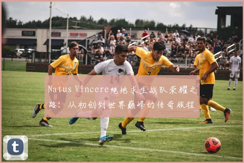 Natus Vincere绝地求生战队荣耀之路：从初创到世界巅峰的传奇旅程