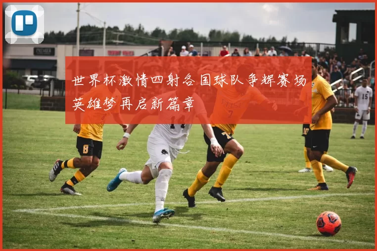 世界杯激情四射各国球队争辉赛场英雄梦再启新篇章