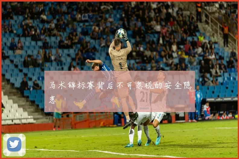 马术锦标赛背后不可忽视的安全隐患