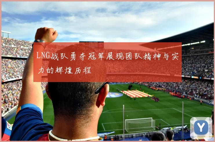 LNG战队勇夺冠军展现团队精神与实力的辉煌历程