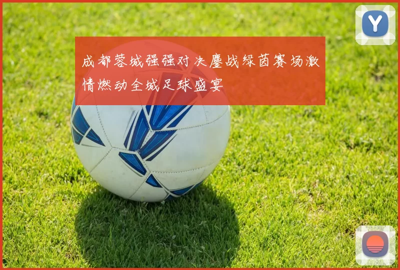 成都蓉城强强对决鏖战绿茵赛场激情燃动全城足球盛宴