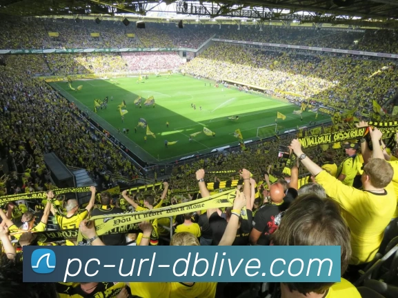 db真人平台生态图