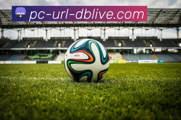 db真人APP 封面图